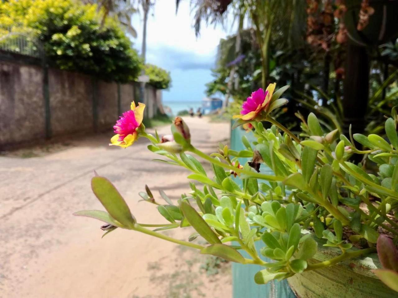 Sunrise Guest House & Restaurant Tangalle Exterior photo